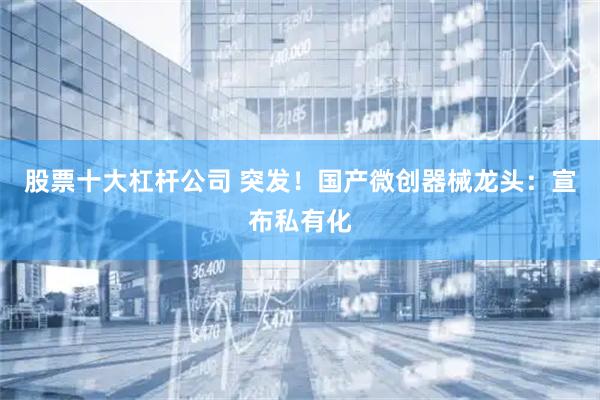 股票十大杠杆公司 突发！国产微创器械龙头：宣布私有化